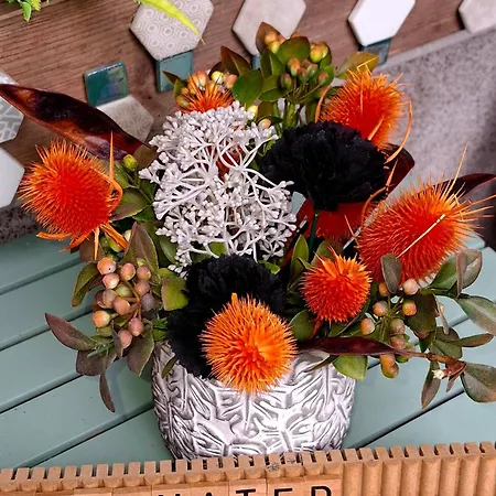 Ginkgobiloba The Harmony דירה *